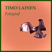 Timo Lainen